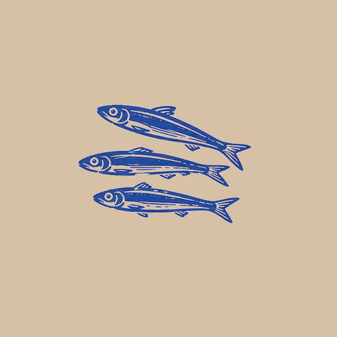 Pazifische Sardelle