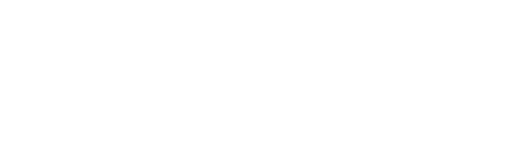 FINASNACKS Logo weiss (transparenter Header)